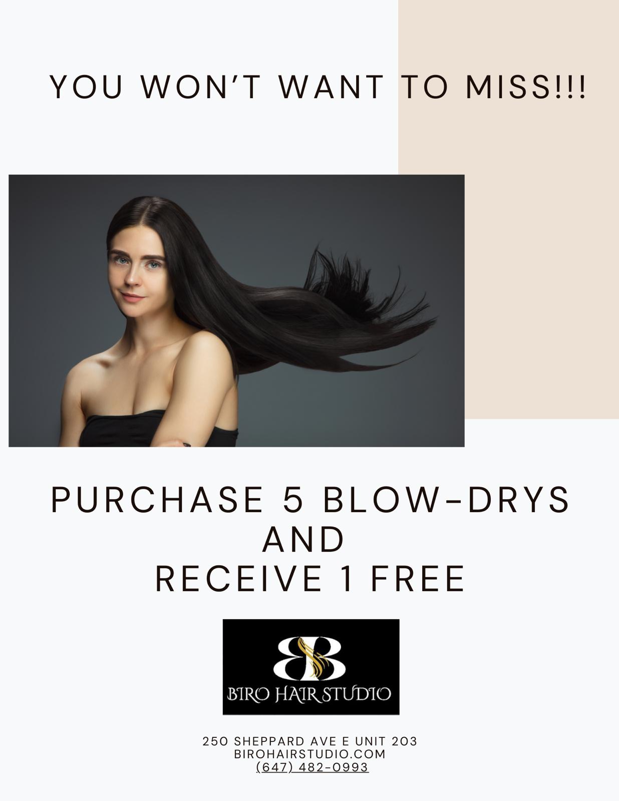 wash and blow dry bar north york toronto