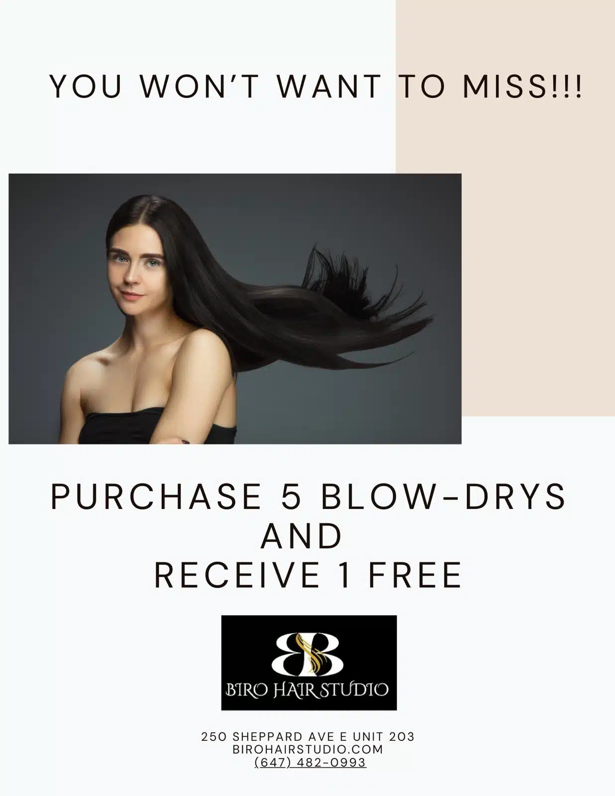 wash and blow dry bar north york toronto