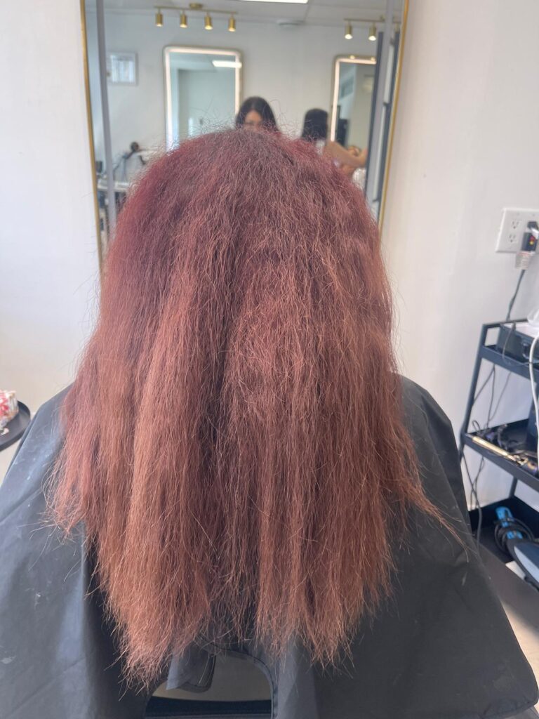 Before Color Correction in North York Biro Hair Studio